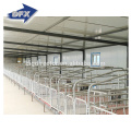 China low cost prefab light steel structure design pig farm house building